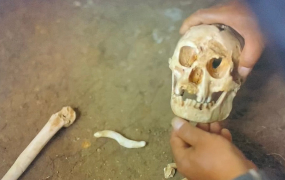 FossilHistory's tweet image. Spotted in the first episode of the new series, BBC Human: a strange little creature found in a hole in the ground. She appears more in the second episode, but always pleased to see that face!