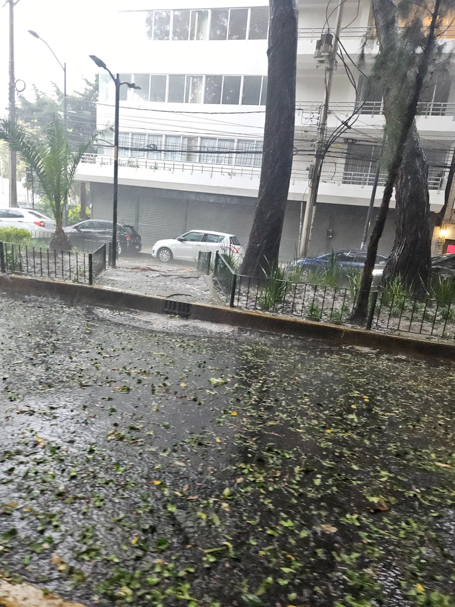 <a href="/LuisMendozaBJ/">Luis Mendoza Acevedo</a> Así la <a href="/En_Narvarte/">Colonia Narvarte</a> <a href="/En_laDelValle/">En la Del Valle</a> <a href="/EnlaNapolesBJ/">En La Napoles</a> #precaucion