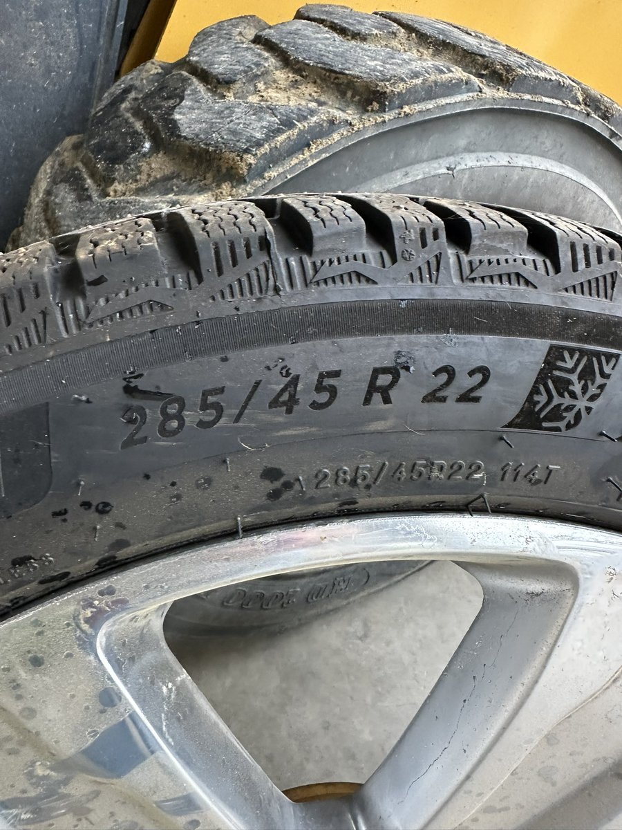 Plantmore1's tweet image. Little early maybe, but guarantee we have winter again. Good used Michelin X ice studded tires and ford replica wheels for sale. 285/45R22. Good tread left. $1800.