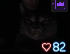 TeddeMedT's tweet image. You better not be a mogging cat with 82 heartrate when I see u
Me