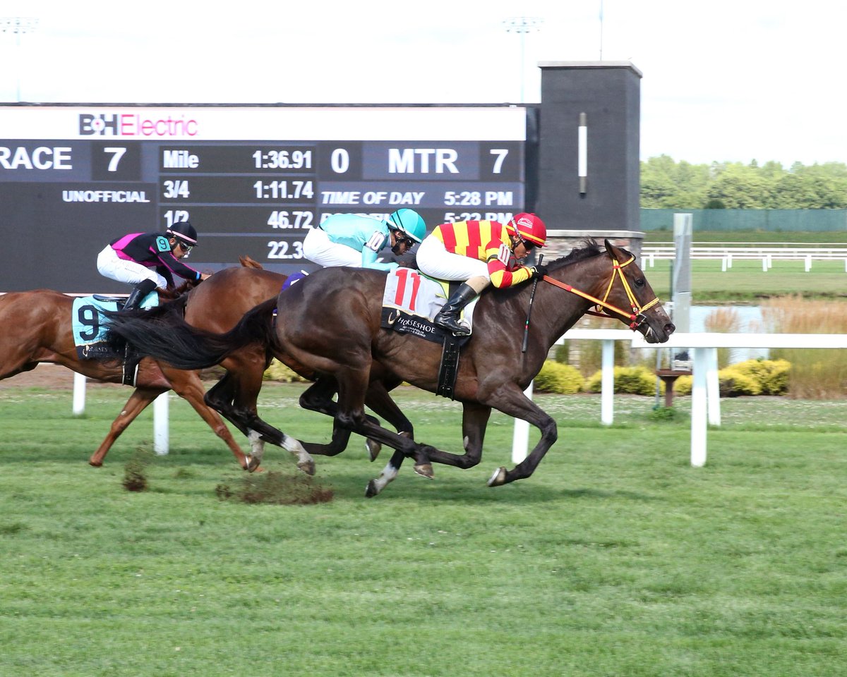 MISS GOODBAR (Good Samaritan) shocks them at 53/1! Comes from last to first to mow them down in the F&amp;M Turf <a href="/HSIndyRacing/">Horseshoe Indianapolis Race Course</a> with Luis Contreras for Joe Davis for Cazares Racing Stable. Was making her first start of 2025 as the rank outsider.