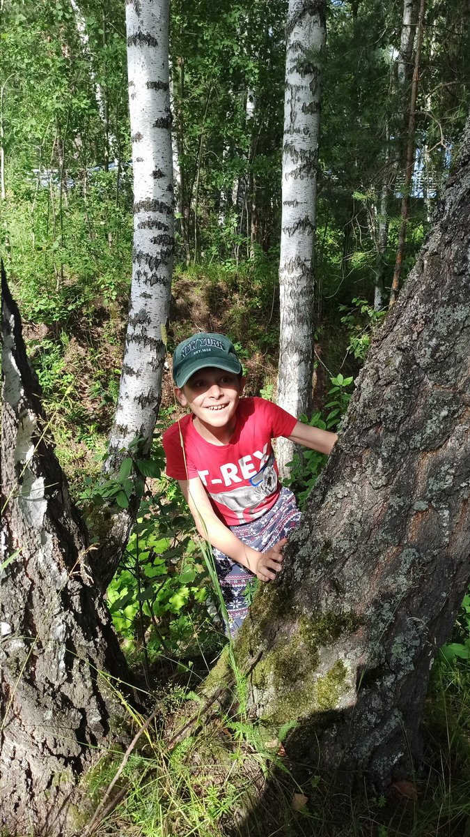 ebabur_art's tweet image. GM ☀️
I safely arrived home 😃
My son Max took me to a forest walk 🥰🌲🌳