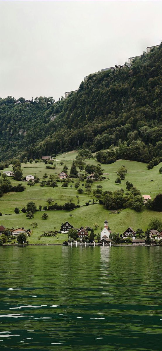 greenvibe's tweet image. 