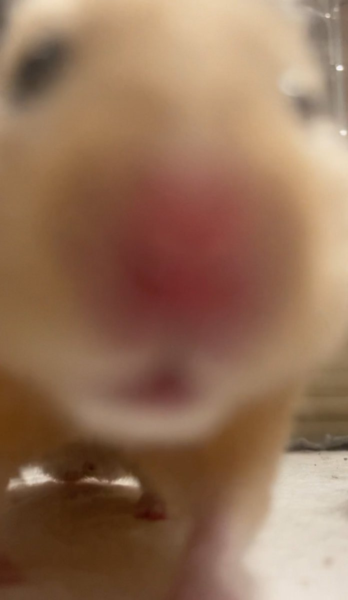 cizdude's tweet image. Ask me anything 👁👁