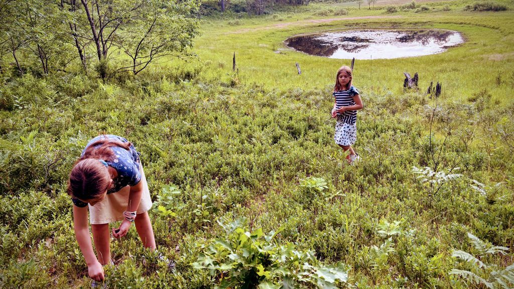 I love building businesses... but that's always second to spending time outdoors with the family.

We found wild blueberries in this patch and grab as many as we could fill out pockets with.  It still amazes me how fat bears get in the wild eating a few handfuls of berries...