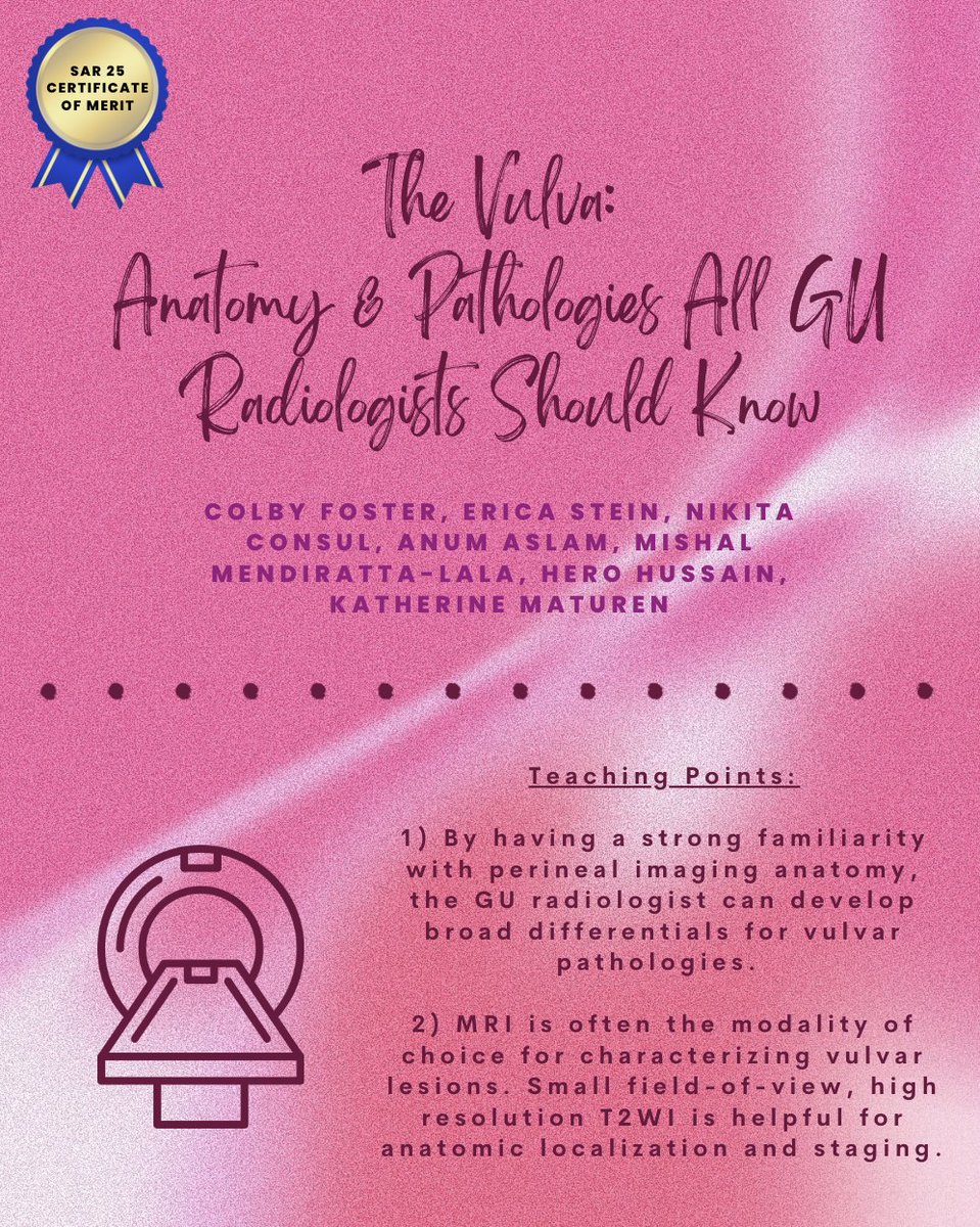 SocietyAbdRad's tweet image. Check out this stellar award-winning #SAR25 educational exhibit on vulvar imaging & pathology! @RadiologyColby, @ericasteinMD, @nikitaconsul, @aslam_anum, @MishalLala, @mriHeroH, @KateMaturen
