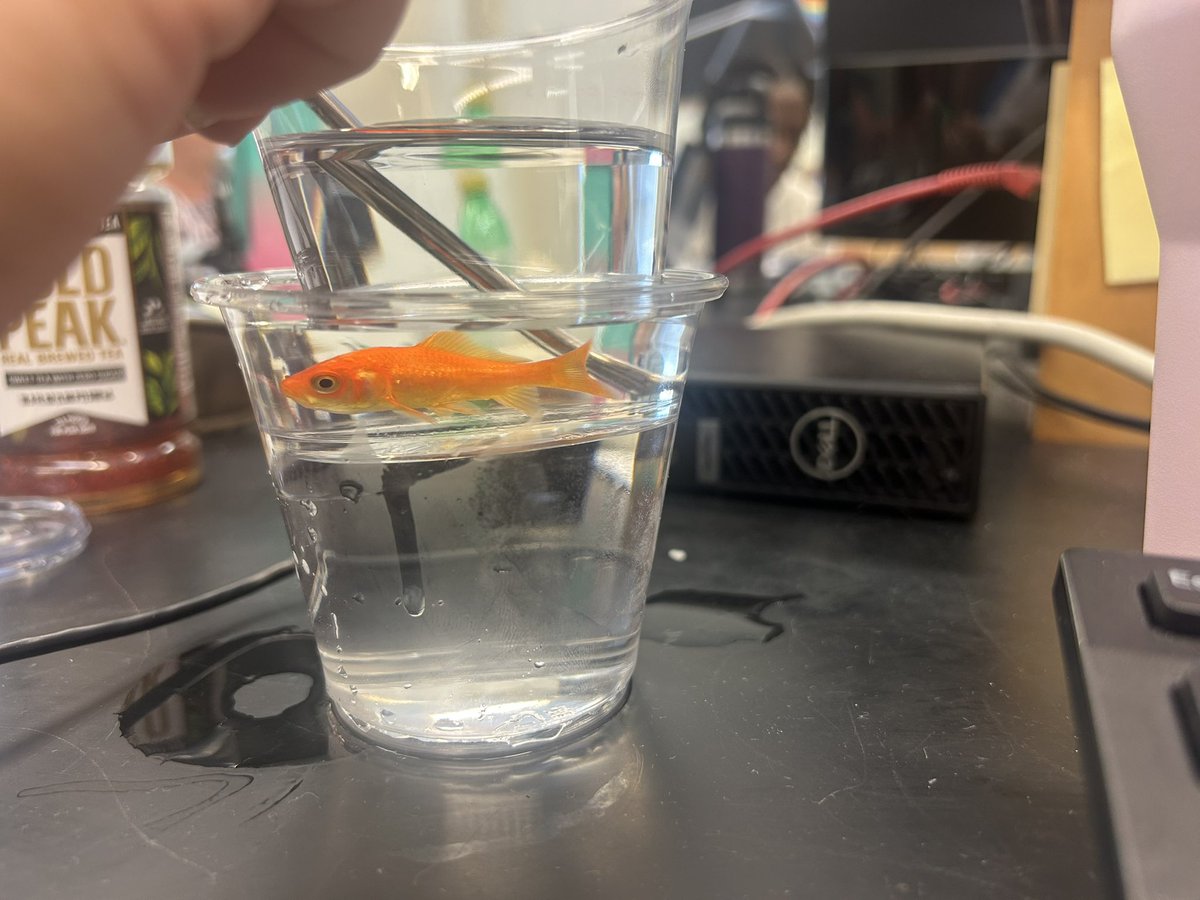 Casey Schulte tweet media