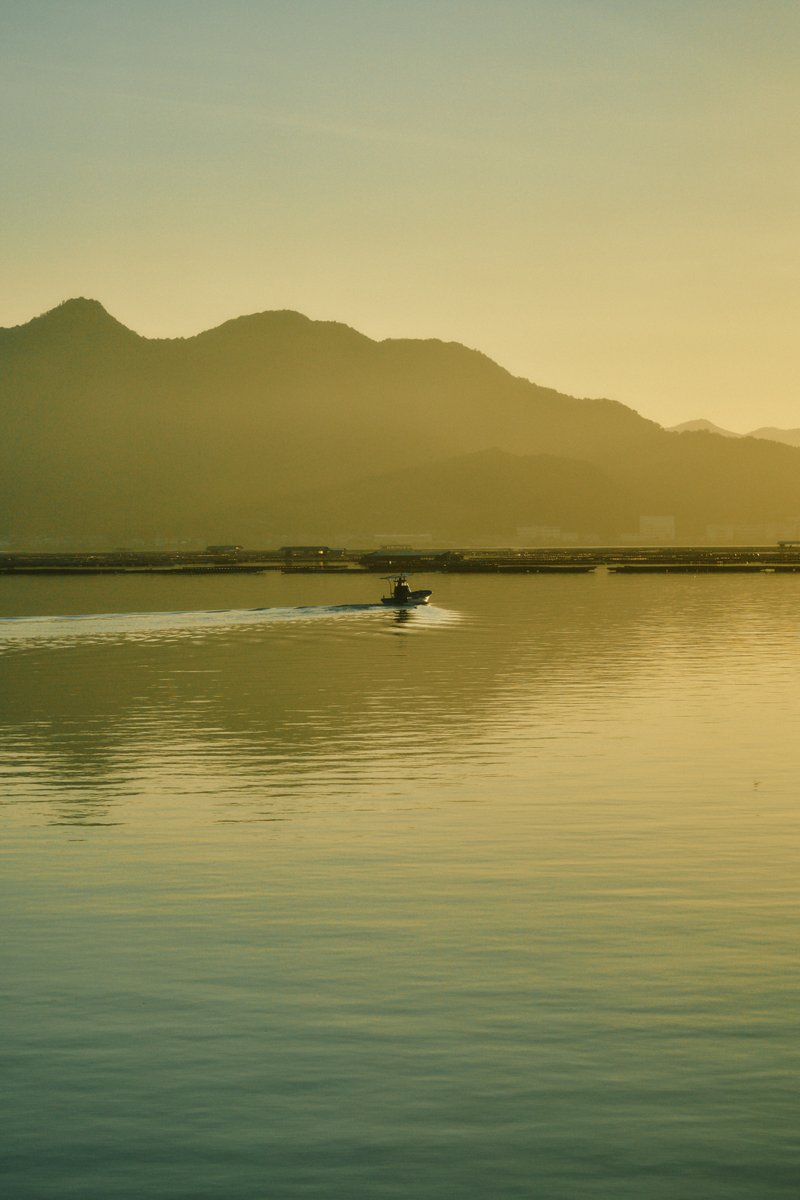 shintake_photo's tweet image. Morning glow