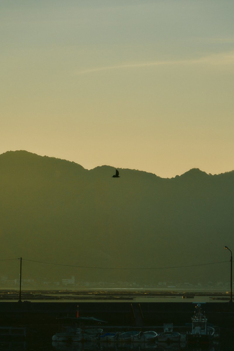 shintake_photo's tweet image. Morning glow