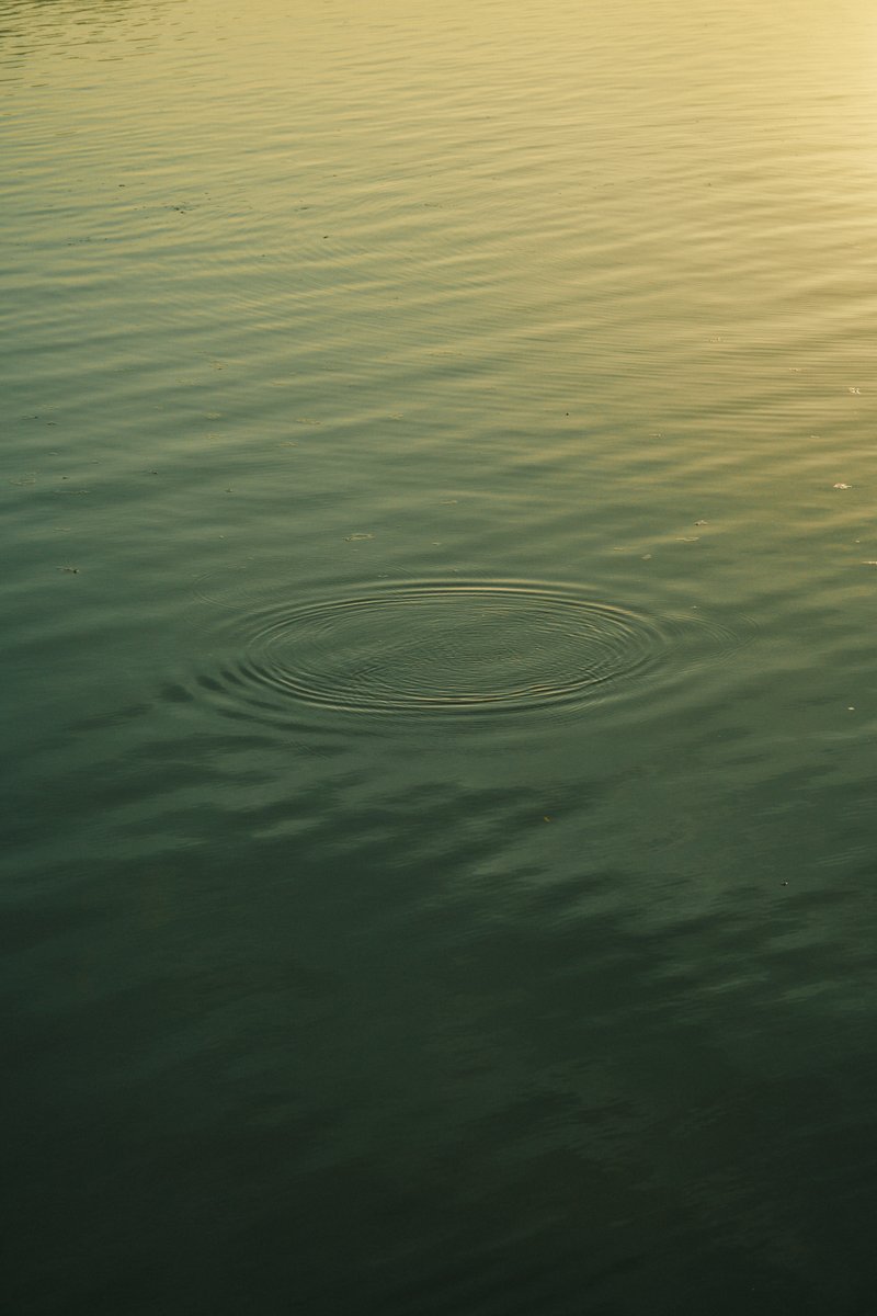 shintake_photo's tweet image. Morning glow