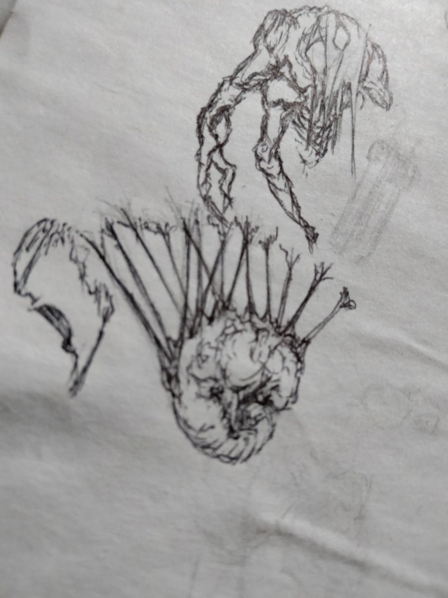 C.A.T (@don_picante48) on Twitter photo 