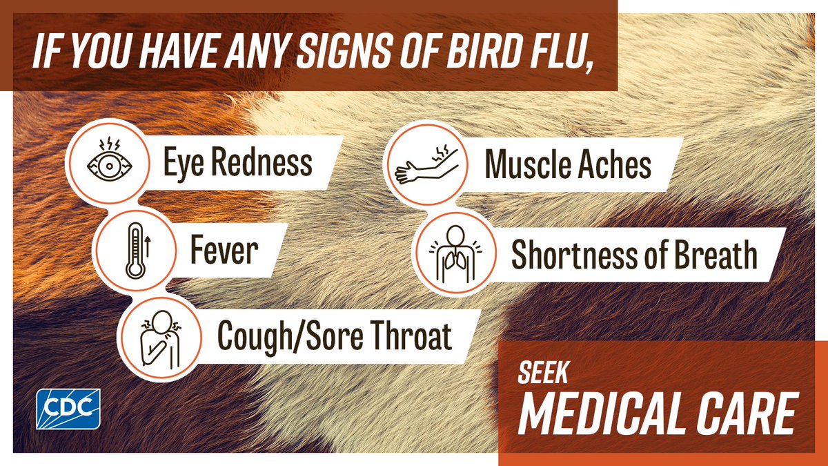 AZDHS's tweet image. 🦠 If you get sick after working with birds, talk to your doctor and mention your exposure. 

Early treatment matters.

Know the symptoms: 1.azdhs.gov/4kGdu0F