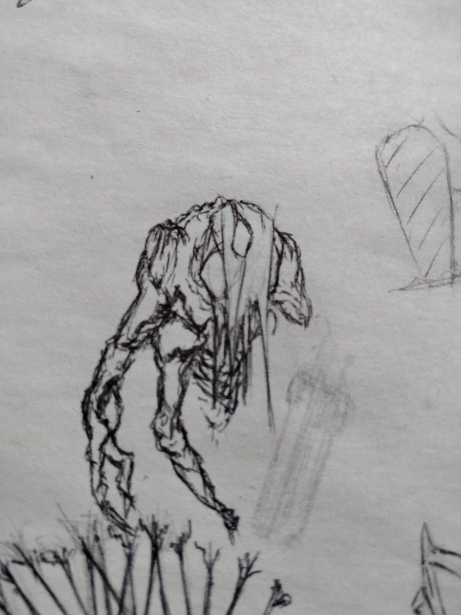 C.A.T (@don_picante48) on Twitter photo 