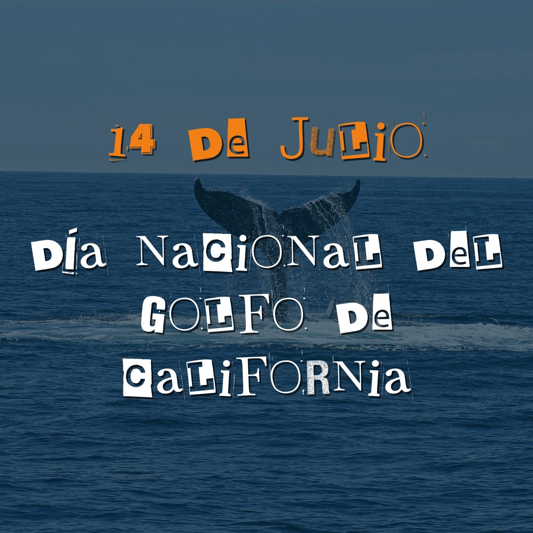 El 14 de julio de 2005, el Golfo de California fue declarado Patrimonio Mundial de la Humanidad por la <a href="/UNESCOMexico/">UNESCO México</a>. Pero hoy está en riesgo por proyectos de #gasfósil como #AMIGOLNG