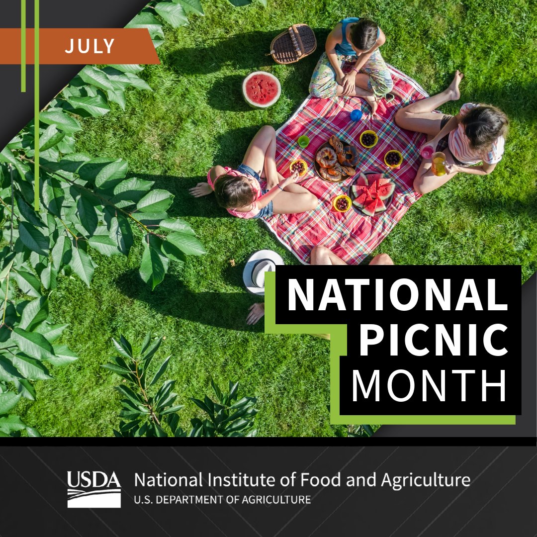 USDA_NIFA's tweet image. It’s National Picnic Month and we have a basket full of research on your favorite picnic treats! Learn more about these projects: mrfimpacts.org/single-post/pi…
