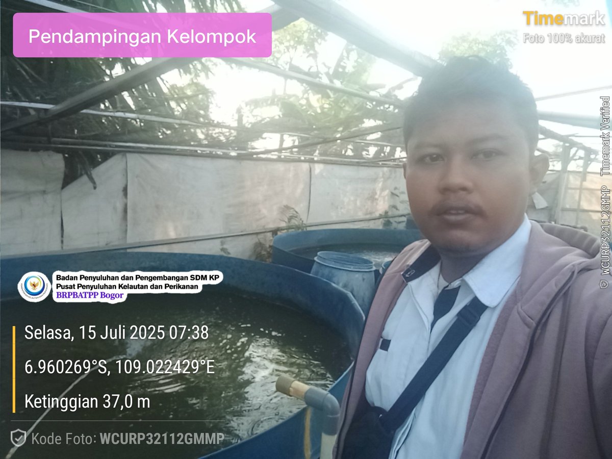 DIchtiarso57106's tweet photo. Selasa, 15/7/2025 Anjangsana Pokdakan Bhakti jaya Desa Kebonagung kecamatan Jatibarang Brebes survey pembesaran budidaya ikan lele sistem RAS
@pusluh_bppsdm 
@brpbatpp_bogor
@kkpgoid 
@bppsdm_puslatkp https://t.co/Tm7MKoaVw2