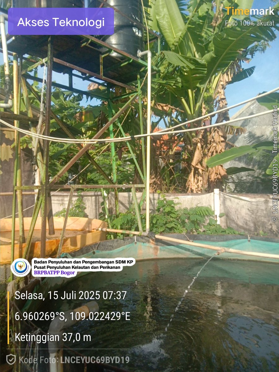 DIchtiarso57106's tweet photo. Selasa, 15/7/2025 Anjangsana Pokdakan Bhakti jaya Desa Kebonagung kecamatan Jatibarang Brebes survey pembesaran budidaya ikan lele sistem RAS
@pusluh_bppsdm 
@brpbatpp_bogor
@kkpgoid 
@bppsdm_puslatkp https://t.co/Tm7MKoaVw2