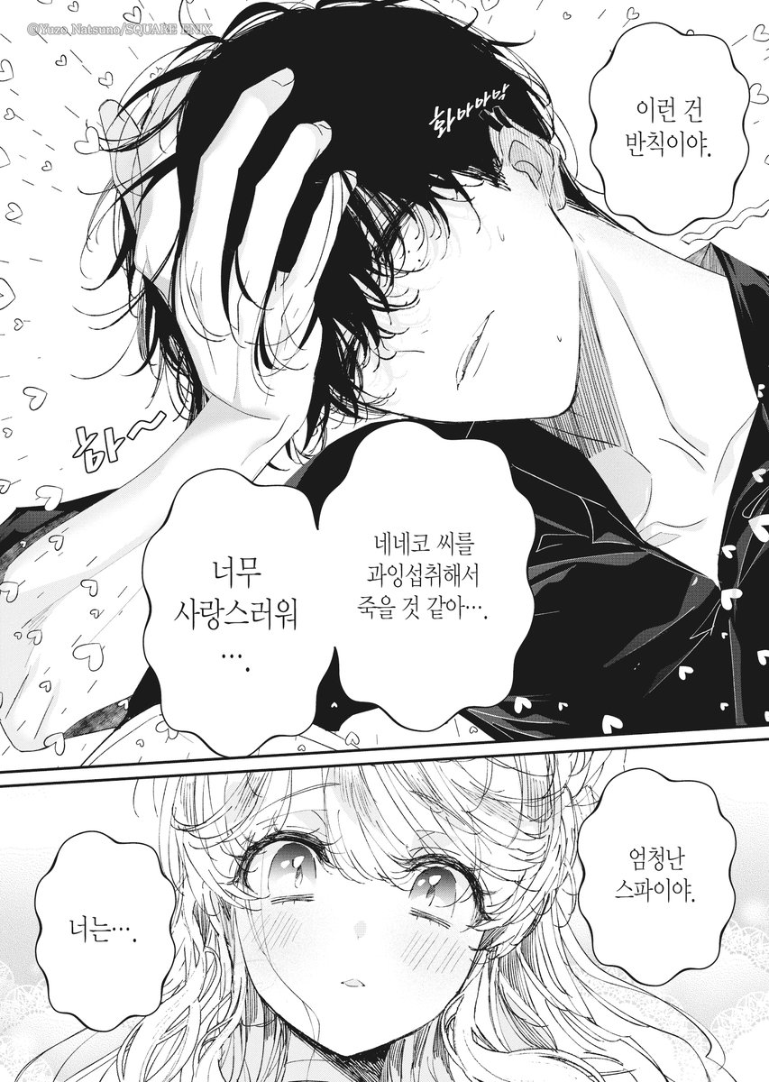 덕차올라 tweet media