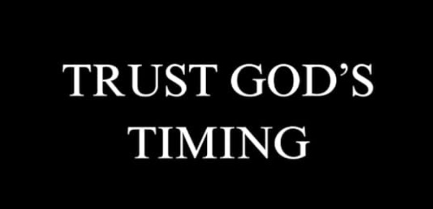 DonnieDarkened's tweet image. The author of human history isn’t Satan.
It’s not the Illuminati.
It’s not the elites.
It’s God.
Even Satan is just a pawn in His hand.
Every scheme, every deception,
will be used to fulfill His plan
and work together for the good of those who love Him.
“The LORD has made…