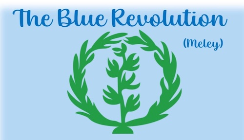 Former Virginia Congressman Jim Moran’s firm represents the Eritrean Blue Revolution Front (<a href="/blue_eritrean/">Eritrean Global Blue Revolution Movement</a>), which wants to overthrow the repressive government of Eritrea president Isaias Afwerki  odwpr.us/4ltv74J
