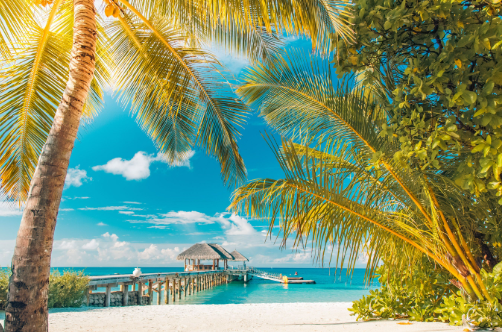 centralreserva's tweet photo. 🌴 ¡Prepárate para el paraíso!
Reserva con tiempo tu viaje a Coveñas del 10 al 14 de diciembre en excursión . Hoteles frente al mar, brisa cálida y servicios top. ¡Tu descanso merece lo mejor! Solicitalo https://t.co/kFxGxr9YIC https://t.co/CTr9v6Ndam