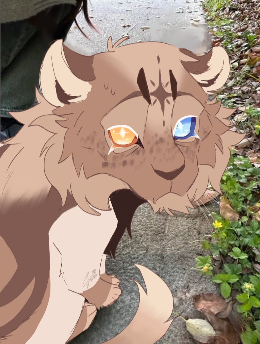 beautiful cat with homophobia 💛🩵

#warriorcats #purevanillacookie