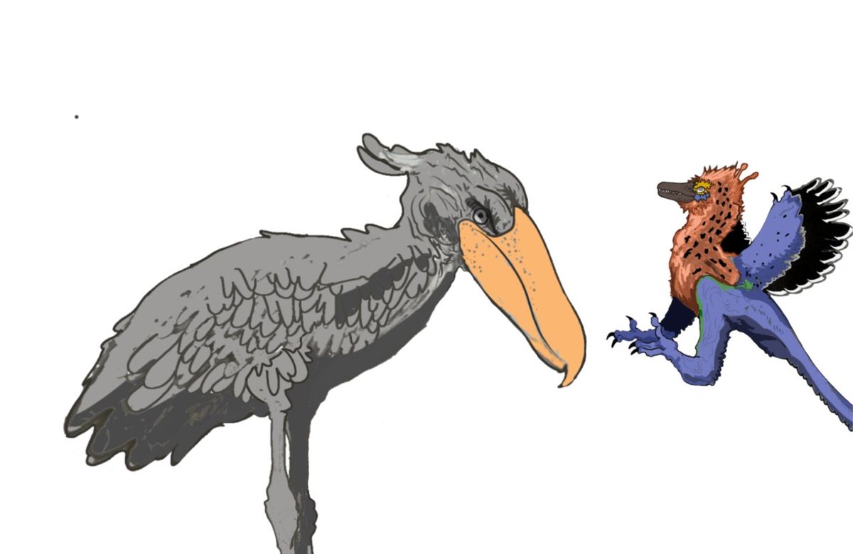 planetSulfurxx's tweet image. Minha leve participação para o concurso paleo arte de @PaleoBlogBR
Archaeopteryx e Cegonha bico de sapato.
.