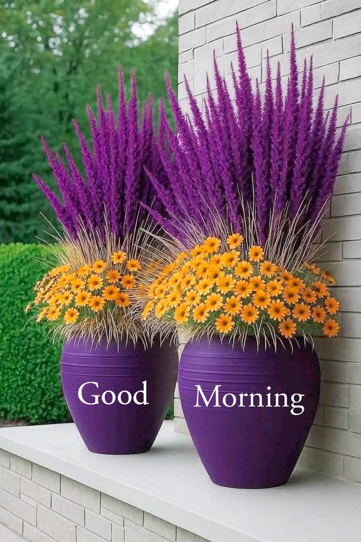 Good morning dear friends 🌞
