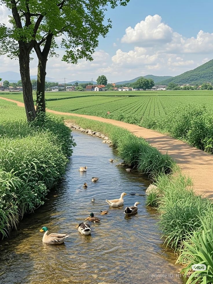 greenvibe's tweet photo. https://t.co/9S8bndVczJ