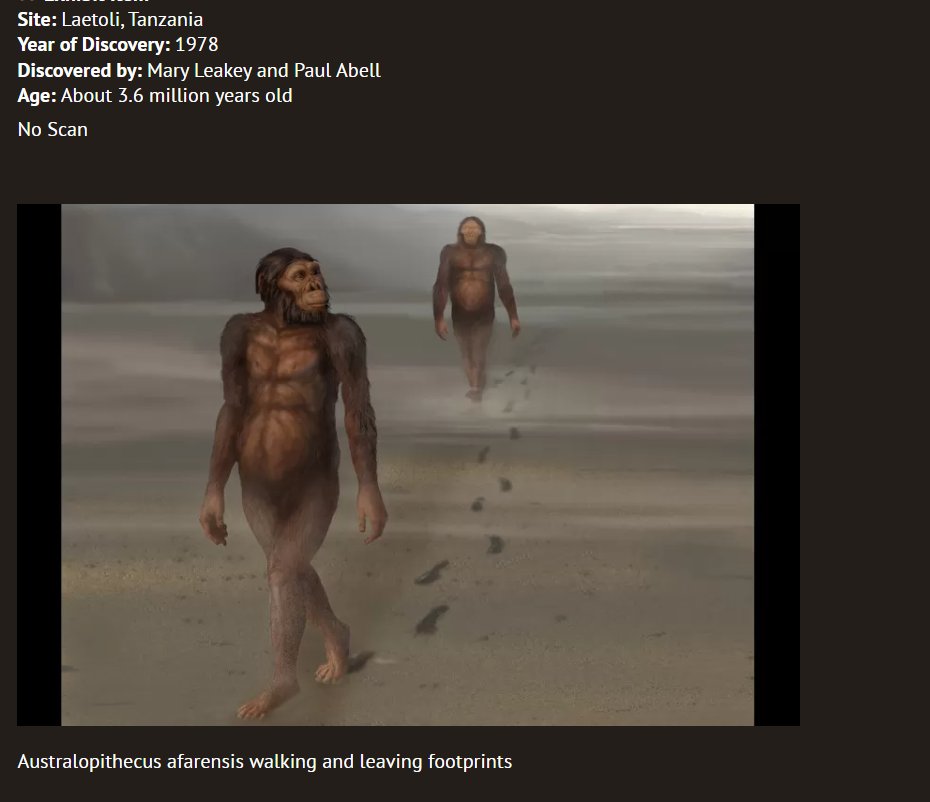 Halloween ON TOP (@halloweenontop) on Twitter photo 3.6 million years is a long time to be a slave monkey
6 6 6 3.6 million years is a long time to be a slave monkey
6 6 6