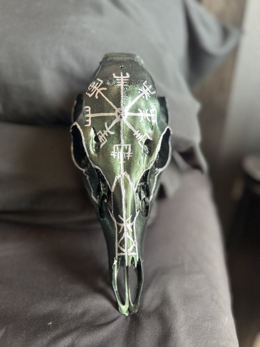 heatherlynnoh's tweet image. Painted this skull I found in the woods for someone on my Patreon. I wanted to keep it so bad. 馃槀