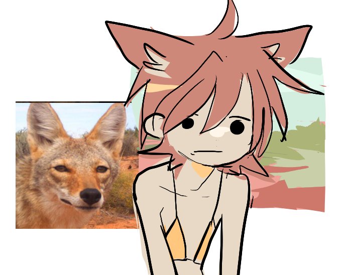 puchi677's tweet image. 