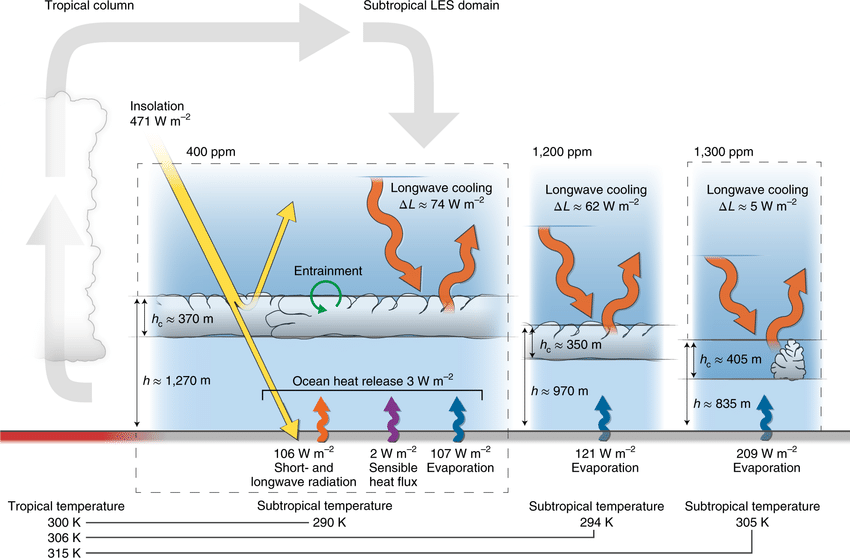 Possible climate transitions from breakup of stratocumulus decks under greenhouse warming

nature.com/articles/s4156…

drive.google.com/file/d/11gpBsa…

Simulated subtropical clouds in the present climate (400 ppm CO₂), at higher CO₂ (1,200 ppm) and after stratocumulus breakup (1,300 ppm).