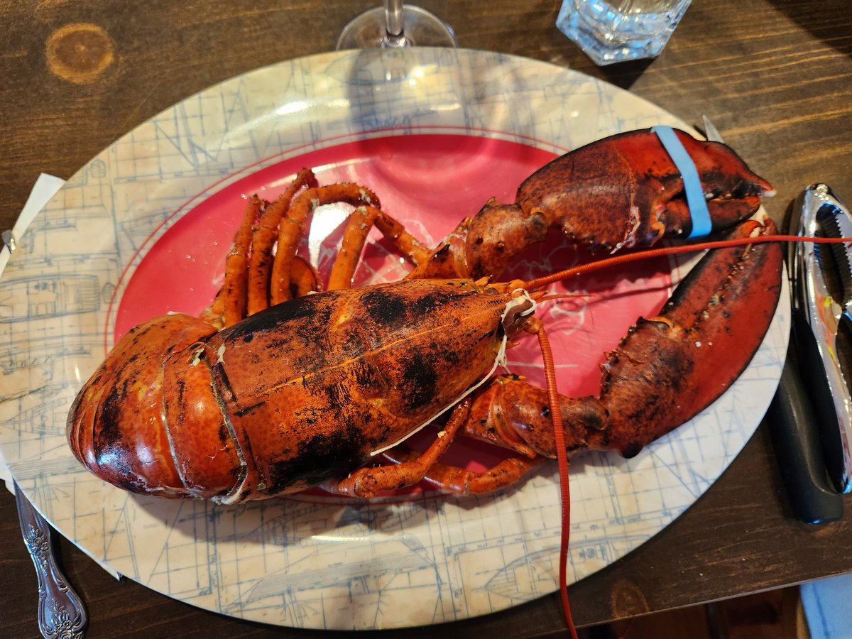 hello dinner