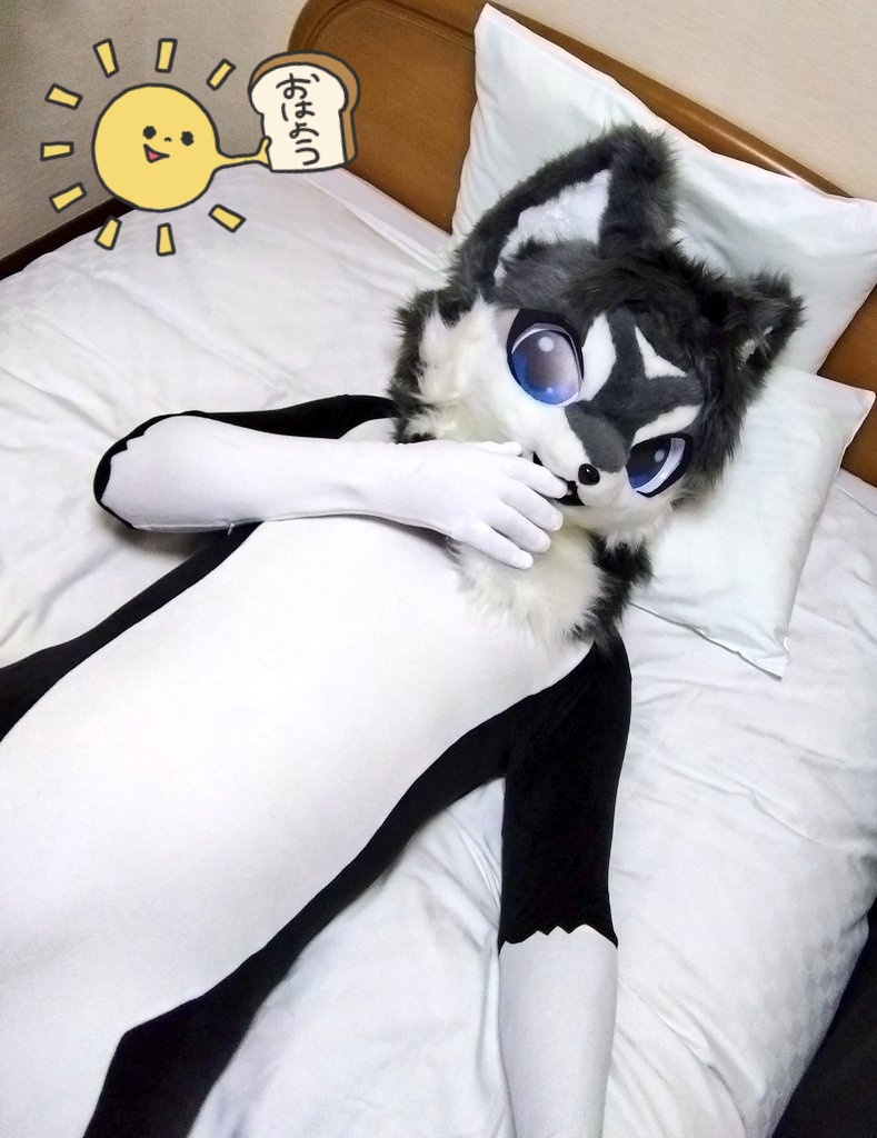 .
　 　 ^   ^
　　( ﾟдﾟ )　ﾑｸｯ
　 ＿|　⊃／(＿＿_
／　└-(＿＿＿_／                    

おぱよ～！ฅ^•∇•^ฅ

#FursuitEveryday