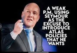 LuxonNotMyGovt's tweet image. Ain't this the whole truth about gingerbread man yellow belly coward Luxon always out of the country to avoid being made accountable for his collective coalition policy decisions because he can't handle the heat , scrutiny and pressure this lazy grifter able to manage