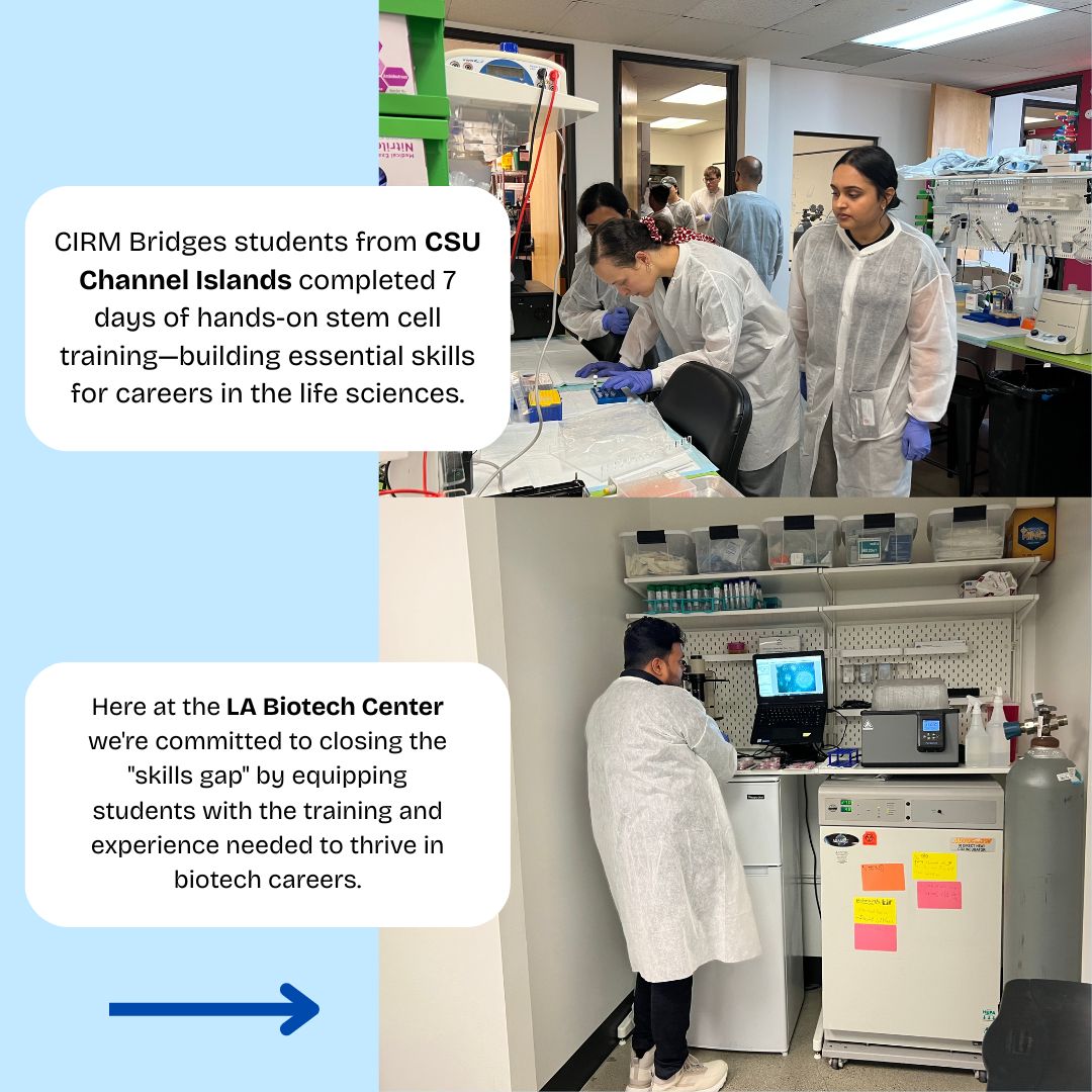 LABiotechCenter's tweet photo. WEEK 2! Summer school at LA Biotech is up and thriving! Visit our website to find your next opportunity in stem cells.
https://t.co/w20IbpJHor
info@labiotechcenter.com https://t.co/6IyA5NMPZO