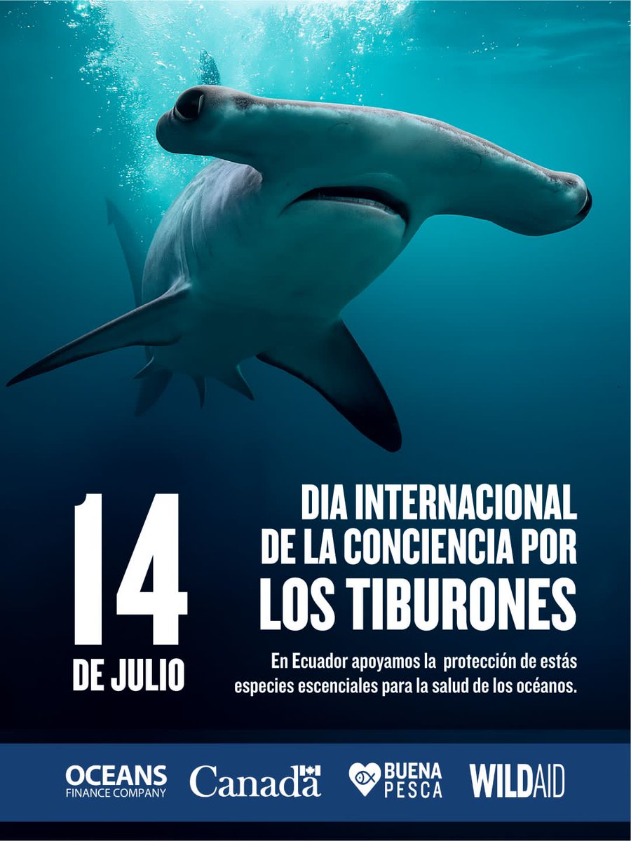 Desde WildAid apoyamos a la conservación y protección de los tiburones 🦈 junto a nuestros socios 🤝: Ambiente, Pesca, Armada, pescadores artesanales, Organizaciones no gubernamentales, investigadores y ciudadanos voluntarios 💙.

#BuenaPesca
#Conservación
#Ecuador