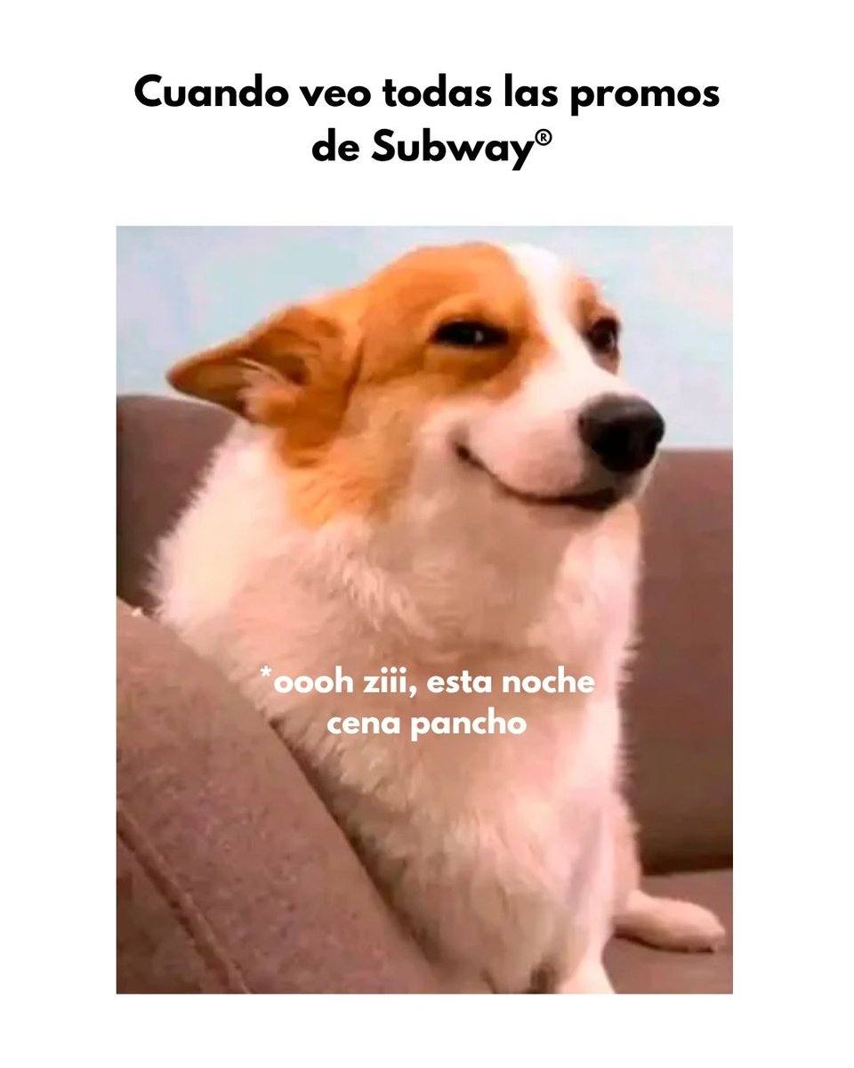subwaymexico's tweet photo. Mi estómago y yo en modo: activa notificaciones.😅💚
#Subway #Subnights #Sublovers https://t.co/jLInEfXiIJ