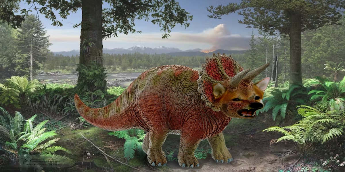 Tony Keene 🇪🇺🇮🇪🇺🇦 tweet media