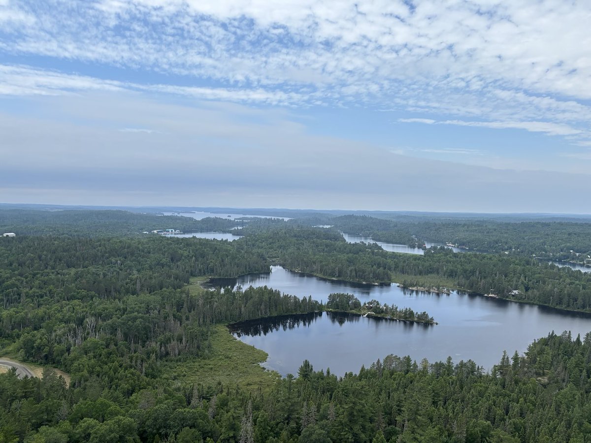 Cameron Culbert tweet media