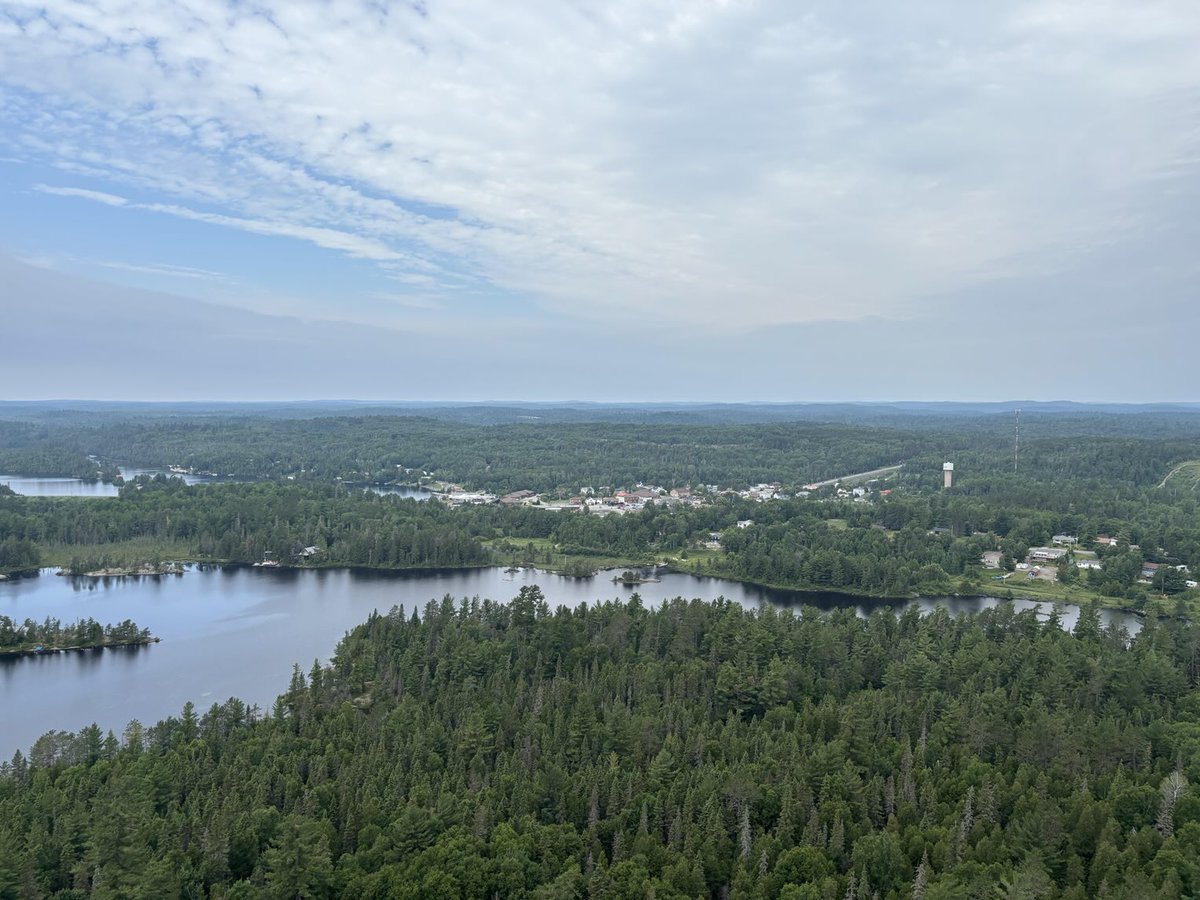 Cameron Culbert tweet media