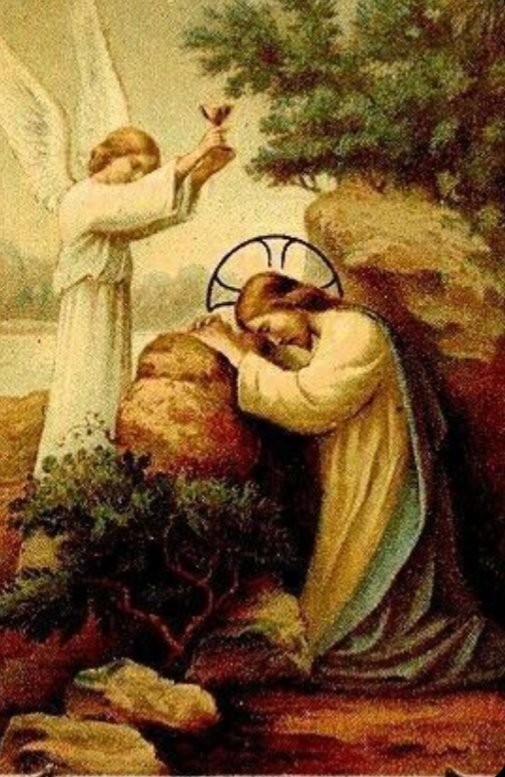 St. Maximilian tweet media