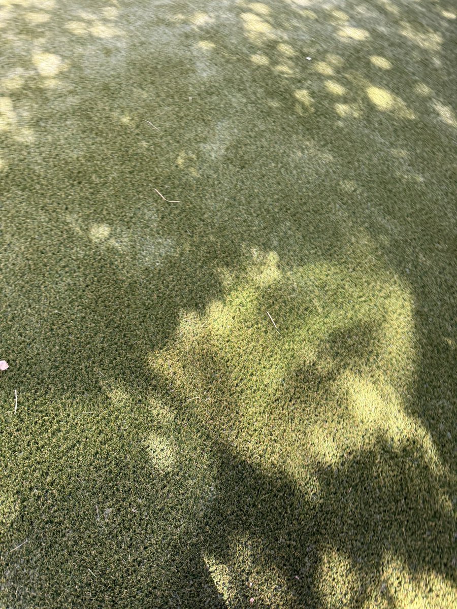 tufturf's tweet photo. #tuftturf #tuftturfutah #utah #artificialturf #turfspecialists #turfinstallers #turfinstallations #SaltLakeCity https://t.co/UCXFsvLmNO