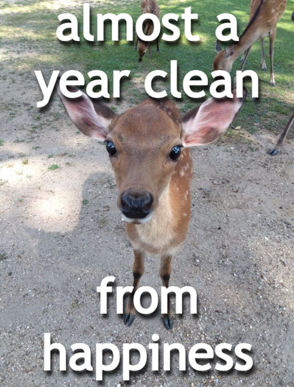 deertexting's tweet photo. https://t.co/24Xe7Z9NMR