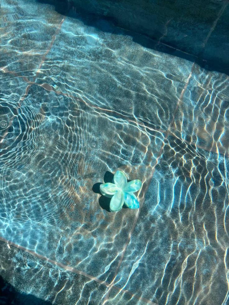 blue dream (@bluedreamvibes) on Twitter photo 