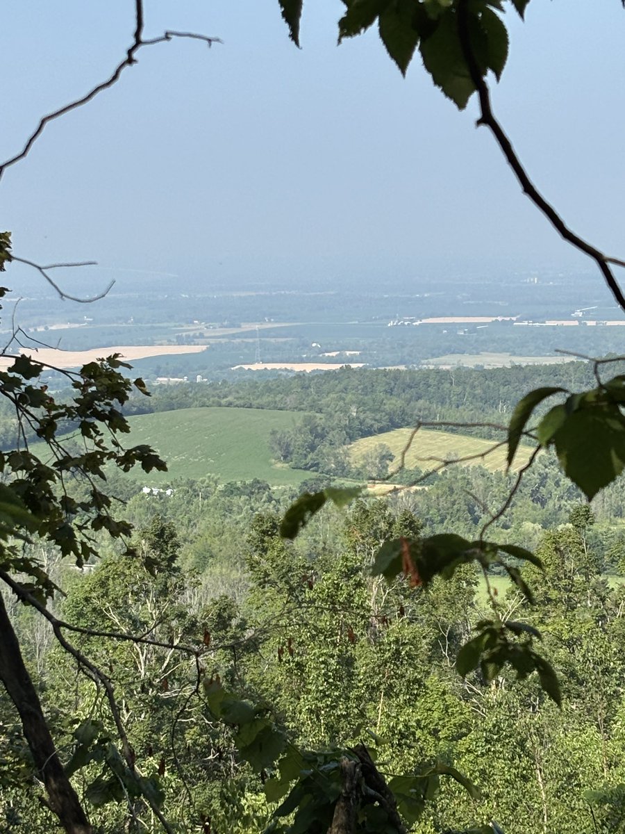 Walk on the beach before work. Hiking the escarpment after work. 
Great way to kick off a new week ! Lots of haze from wildfires in northern Ontario. And a revamped #BruceTrail took me by some eye-catching rock cuts.
What got your heart pumping today?

#naturelovers #cottagelife