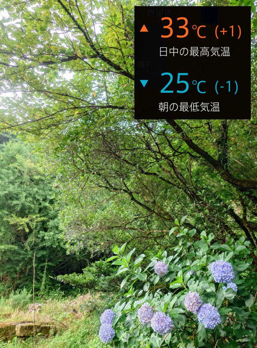 おはようございます！姶良市は晴れ☀
今日も暑くなりそうです💦熱中症に気を付けて頑張りましょう💪
東海など雨の地域の方や台風が上陸した北海道の方もお気を付けくださいね🙋
本日もご安全にっ👷✨
#企業公式が毎朝地元の天気を言い合う
#企業公式夏のフォロー祭り 
#企業公式相互フォロー