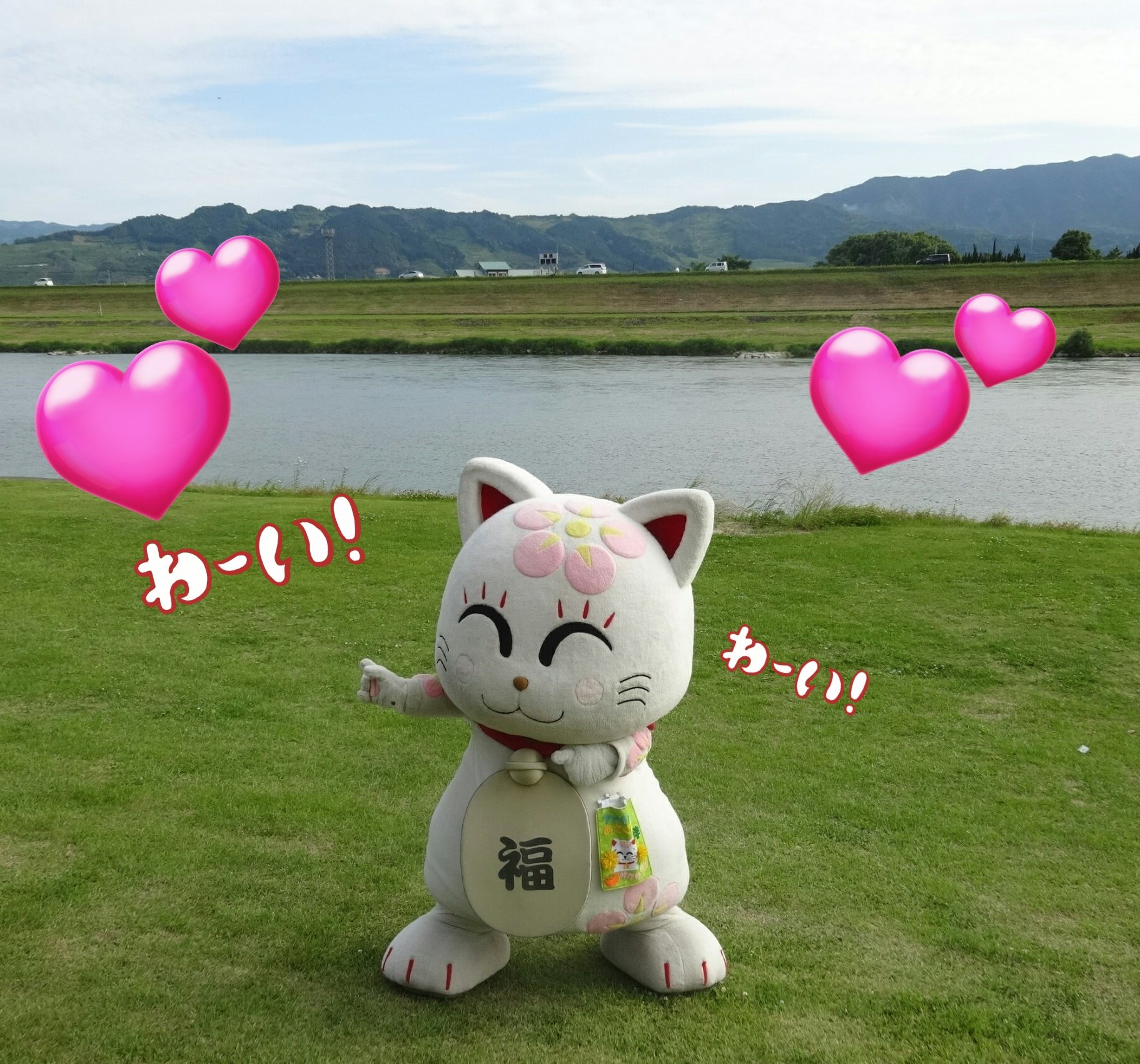 ♡ねこ♡　おまとめご依頼3点 ネコ様 リクエスト 3点 まとめ商品