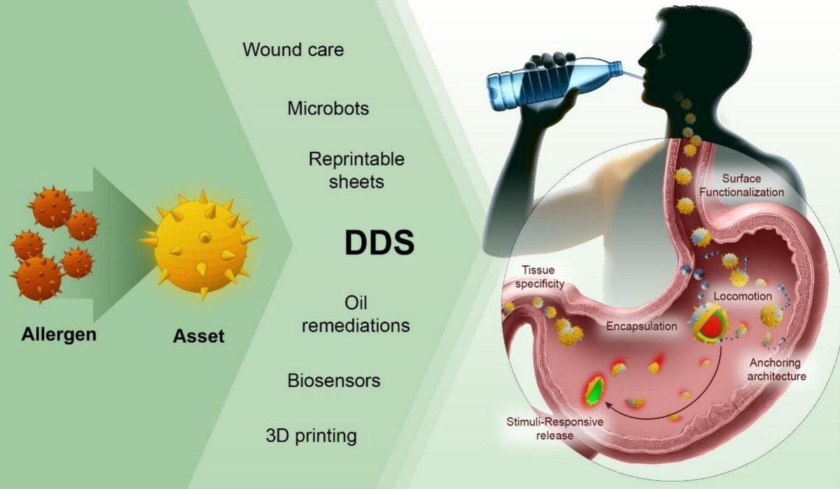 ADDReditors's tweet image. ADDR 50 days' free access: Allergen to Asset: Pollen-Based Drug Delivery Systems.
By Nam-Joon Cho & coworkers @NTUsg
#pollen #allergen #DrugDelivery
kwnsfk27.r.eu-west-1.awstrack.me/L0/https:%2F%2…